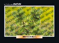 RV280 Hierbabuena (50 pzas)