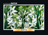 RV283 Nardo (50 pzas)