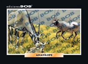 RV287 Antílope (50 pzas)