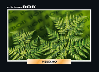 RV288 Helecho (50 pzas)