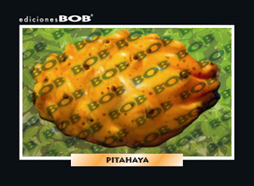 RV290 Pitahaya (50 pzas)