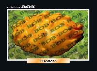 RV290 Pitahaya (50 pzas)