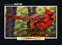 RV295 Cardenal (50 pzas)