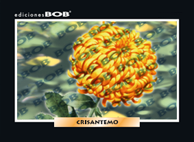 RV297 Crisantemo (50 pzas)