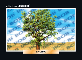 RV299 Encino (50 pzas)