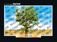 RV299 Encino (50 pzas)