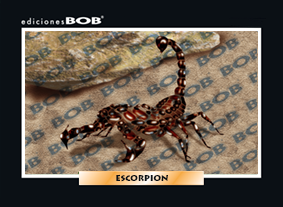 RV300 Escorpión (50 pzas)