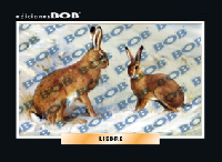 RV305 Liebre (50 pzas)