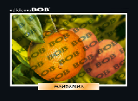 RV308 Mandarina (50 pzas)