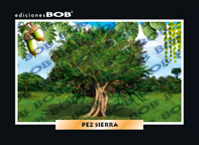 RV310 Roble (50 pzas)