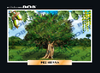 RV310 Roble (50 pzas)