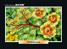 RV312 Verdolaga (50 pzas)