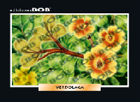 RV312 Verdolaga (50 pzas)