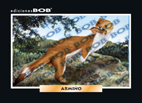 RV313 Armiño (50 pzas)