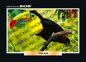 RV315 Tucán (50 pzas)