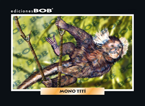 RV321 Mono tití (50 pzas)
