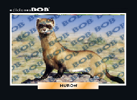 RV324 Hurón (50 pzas)