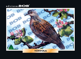 RV325 Tórtola (50 pzas)
