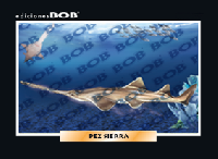 RV326 Pez sierra (50 pzas)