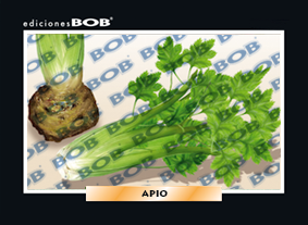 RV330 Apio (50 pzas)