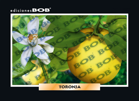 RV332 Toronja (50 pzas)