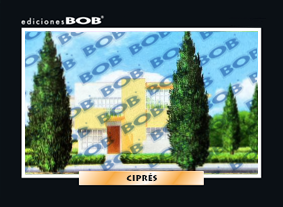 RV339 Ciprés (50 pzas)