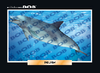 RV340 Delfín (50 pzas)