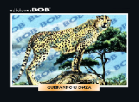 RV342 Guepardo (onza) (50 pzas)