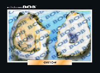 RV347 Ostión (50 pzas)