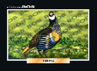 RV349 Perdiz (50 pzas)
