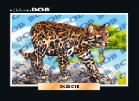 RV370 Ocelote (50 pzas)