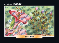 RV372 Tomillo (50 pzas)