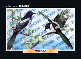 RV374 Urraca (50 pzas)