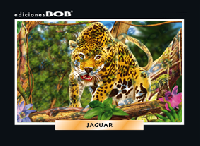 RV384 Jaguar (50 pzas)