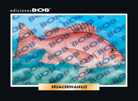 RV402 Huachinango (50 pzas)