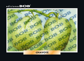 RV410 Chayote (50 pzas)