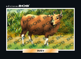 RV413 Buey (50 pzas)