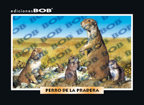 RV433 Perro de la pradera (50 pzas)