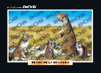 RV433 Perro de la pradera (50 pzas)