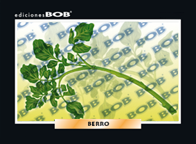 RV483 Berro (50 pzas)