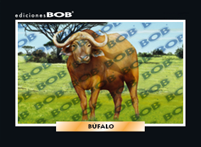 RV485 Búfalo africano (50 pzas)