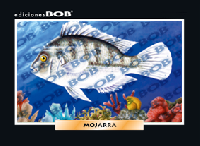 RV494 Mojarra (50 pzas)