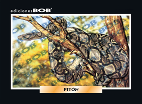 RV497 Pitón (50 pzas)