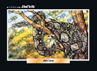 RV497 Pitón (50 pzas)