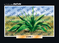 RV498 Sábila (50 pzas)