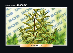 RV511 Epazote (50 pzas)