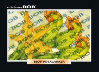 RV512 Flor de calabaza (50 pzas)
