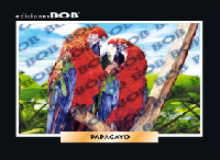 RV518 Papagayo (50 pzas)