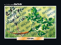 RV519 Perejil (50 pzas)