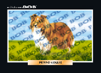 RV601 Perro collie (50 pzas)